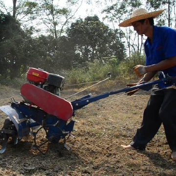 耕作現(xiàn)場(圖1)
